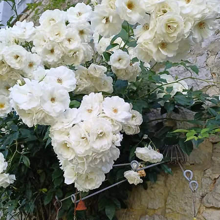 Ferienhaus La Colline Aux Fees